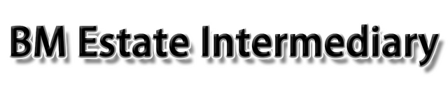 Логотип BM Estate Intermediary