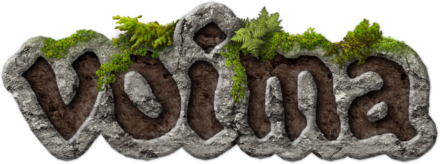 Логотип VOIMA